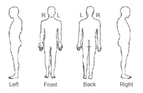 Gráfico del cuerpo del área de presión.jpeg