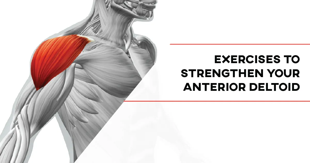 Ejercicios para fortalecer el deltoides anterior
