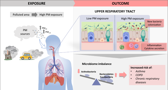 Efectos de la exposición a partículas en el aire urbano en el microbioma del tracto respiratorio superior humano: una revisión sistemática