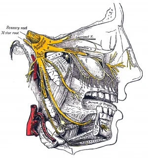 Neuralgia del Trigémino