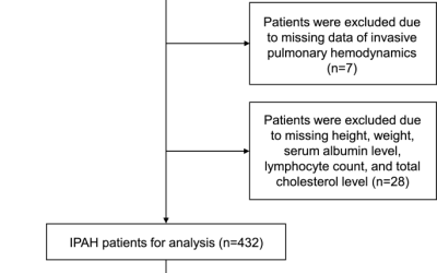 Efectos de la desnutrición sobre la gravedad de la enfermedad y los resultados adversos en la hipertensión arterial pulmonar idiopática: un estudio de cohorte retrospectivo