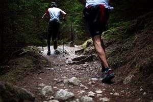 Bastones para caminar