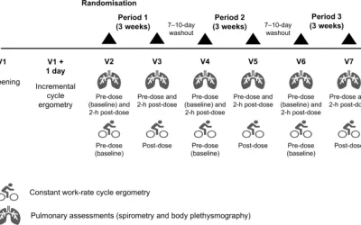 Efectos del dipropionato de beclometasona/fumarato de formoterol/glicopirronio inhalados versus dipropionato de beclometasona/fumarato de formoterol y placebo sobre la hiperinflación pulmonar y la resistencia al ejercicio en la enfermedad pulmonar obstructiva crónica: un ensayo controlado aleatorio