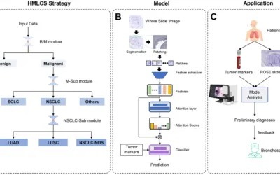 Subtipificación automática del cáncer de pulmón mediante portaobjetos de evaluación rápida in situ y marcadores biológicos séricos