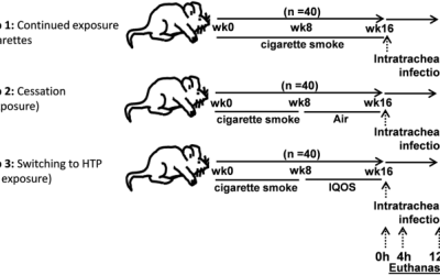 ¿El cambio de cigarrillos a productos de tabaco calentado puede reducir las consecuencias de la infección pulmonar?