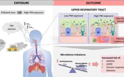 Efectos de la exposición a partículas en el aire urbano en el microbioma del tracto respiratorio superior humano: una revisión sistemática