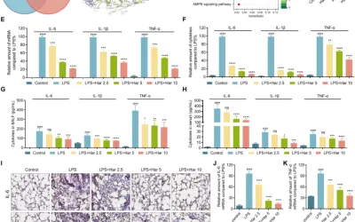 Harmine alivia la lesión pulmonar aguda inducida por LPS al inhibir la vía de señalización MAPK/NF-κB mediada por CSF3